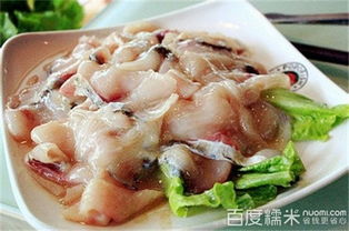 魔石泡泡鱼 以特色餐饮撬动加盟市场，打造品质餐饮新标杆