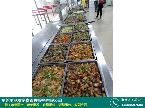 茶山中学食堂承包资质探析 以龙发膳食餐饮管理为例
