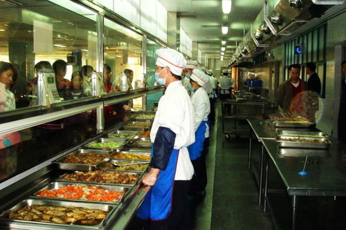 山东职业学院 强化安全教育与餐饮管理，筑牢春季食物中毒防线